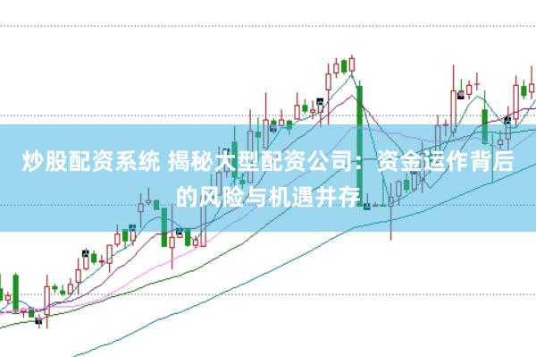 炒股配资系统 揭秘大型配资公司：资金运作背后的风险与机遇并存