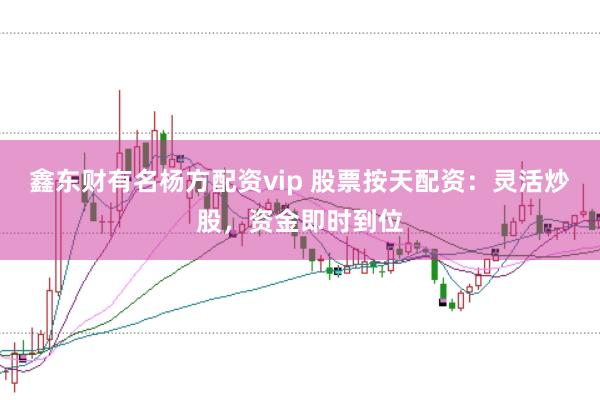 鑫东财有名杨方配资vip 股票按天配资：灵活炒股，资金即时到位