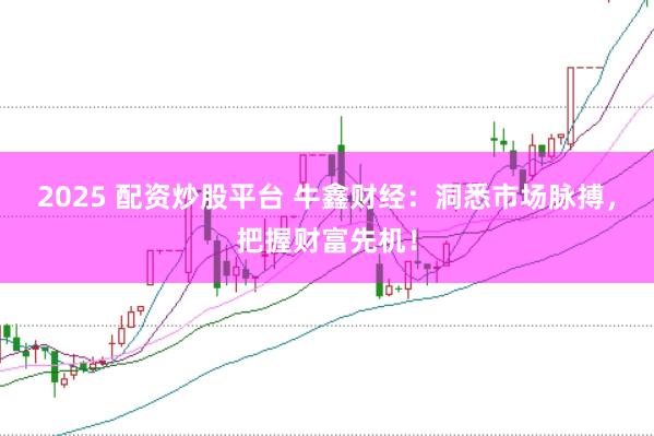 2025 配资炒股平台 牛鑫财经：洞悉市场脉搏，把握财富先机！