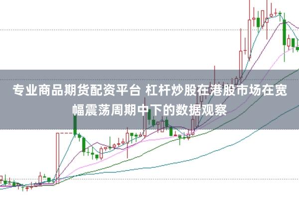 专业商品期货配资平台 杠杆炒股在港股市场在宽幅震荡周期中下的数据观察