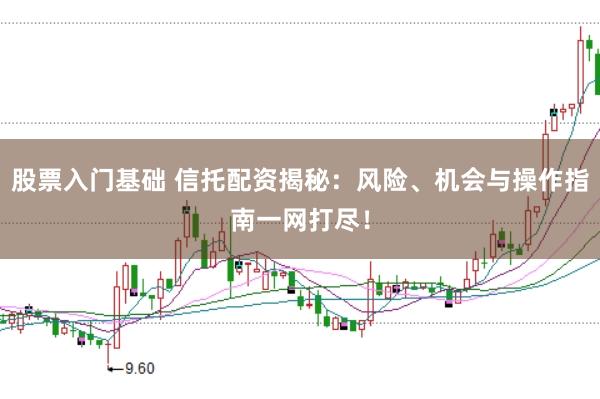 股票入门基础 信托配资揭秘：风险、机会与操作指南一网打尽！