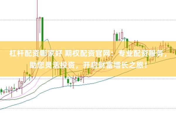 杠杆配资哪家好 期权配资官网：专业配资服务，助您灵活投资，开启财富增长之旅！