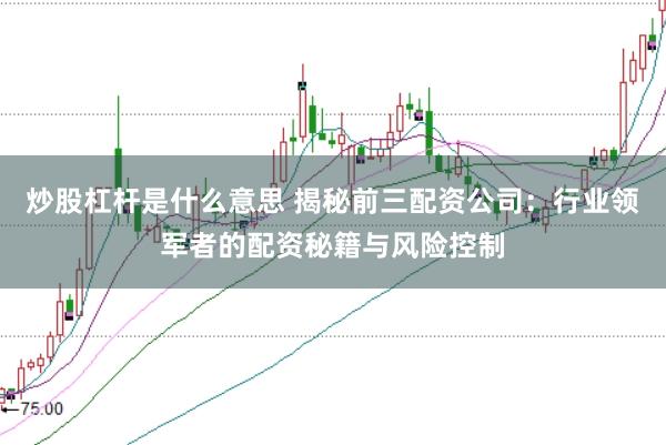炒股杠杆是什么意思 揭秘前三配资公司:行业领军者的配资秘籍与风险控制
