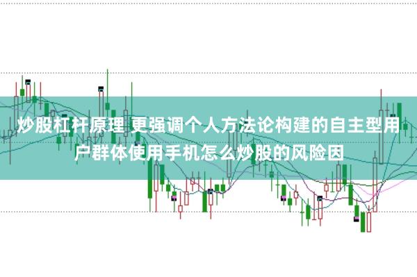 炒股杠杆原理 更强调个人方法论构建的自主型用户群体使用手机怎么炒股的风险因