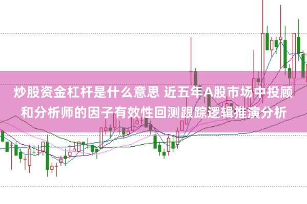 炒股资金杠杆是什么意思 近五年A股市场中投顾和分析师的因子有效性回测跟踪逻辑推演分析