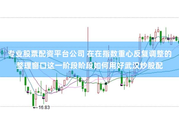 专业股票配资平台公司 在在指数重心反复调整的整理窗口这一阶段阶段如何用好武汉炒股配