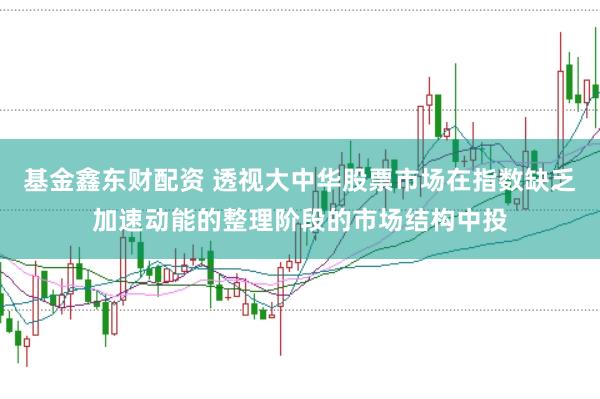 基金鑫东财配资 透视大中华股票市场在指数缺乏加速动能的整理阶段的市场结构中投