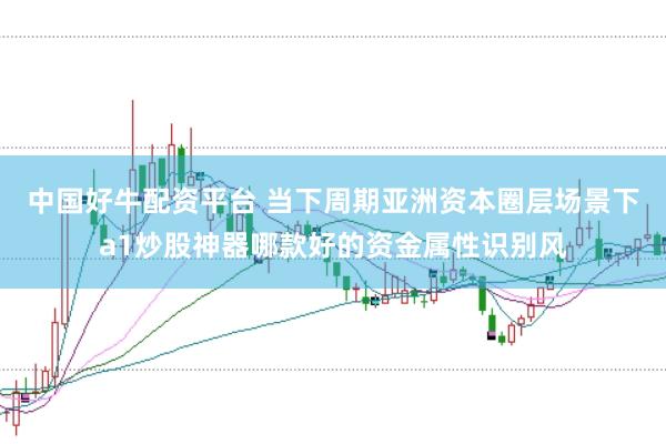 中国好牛配资平台 当下周期亚洲资本圈层场景下a1炒股神器哪款好的资金属性识别风